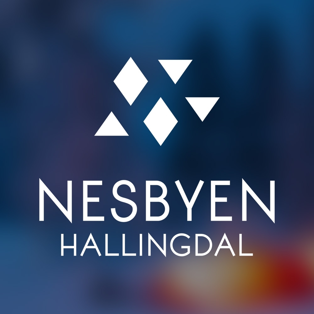 Visit Nesbyen